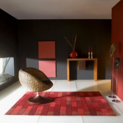 Sanat Tapis Salon Rouge Longue Durée Moderne Taille 80x150cm :  : Cuisine et maison