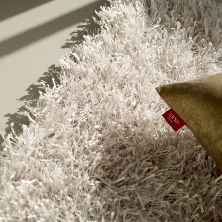 Nettoyage tapis : comment bien nettoyer un tapis ?